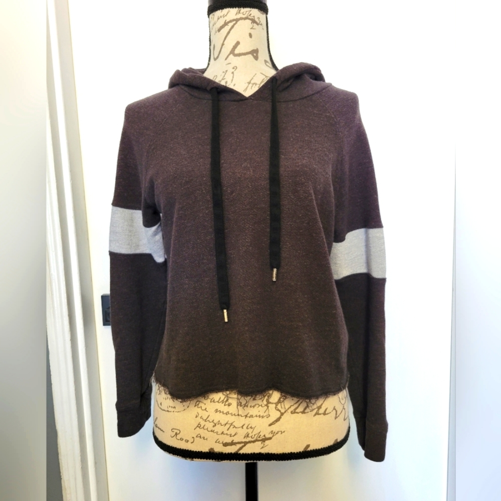 Sundry Cropped Raw Hem Hoodie Grey Womens Size 0